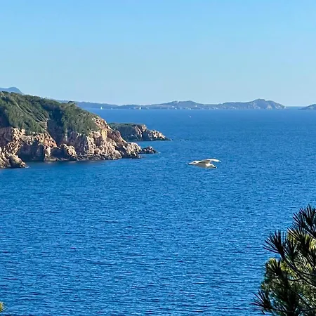 Mas Du Grand Pin - Sur Grande Pinede, Site Naturel Exceptionnel, Calanque Du Port D'alon A 2pas Saint-Cyr-sur-Mer