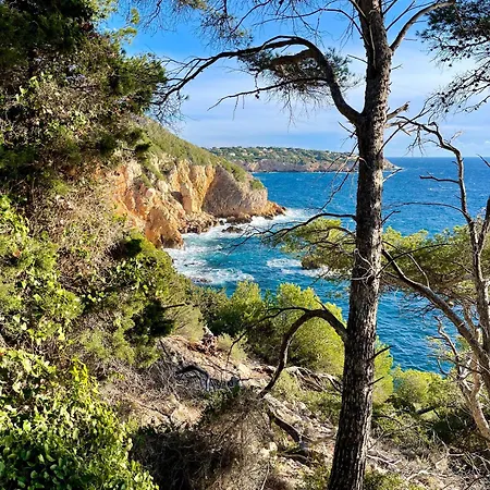Mas Du Grand Pin - Sur Grande Pinede, Site Naturel Exceptionnel, Calanque Du Port D'alon A 2pas Villa Saint-Cyr-sur-Mer