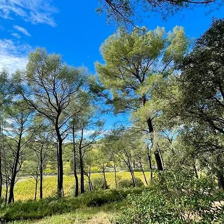 Mas Du Grand Pin - Sur Grande Pinede, Site Naturel Exceptionnel, Calanque Du Port D'alon A 2pas * Saint-Cyr-sur-Mer